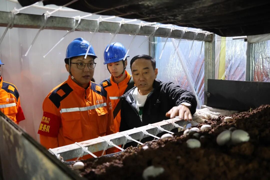 ��ũ�顱����ů���� �����񡱵���������