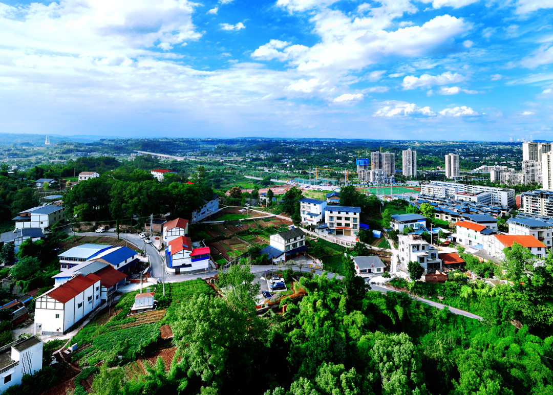 ��������塱��Ұ���䣬������˻����ƪ