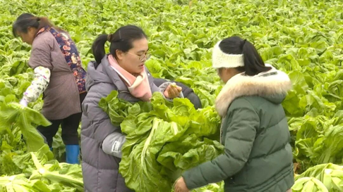 ��ίԱ��ɡ�������:ũ�������Ե��� ��ְΪ�������