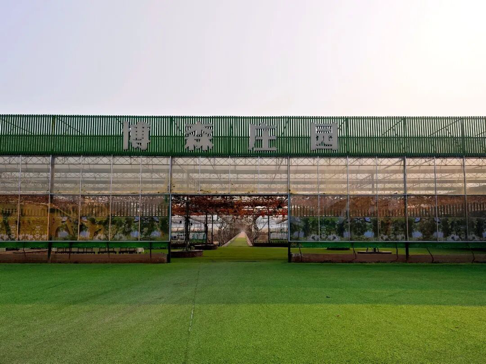 ��������ɡ���������Ѽ��������� ��ְ·�������