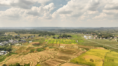 在广安武胜清平镇 写就青春答案