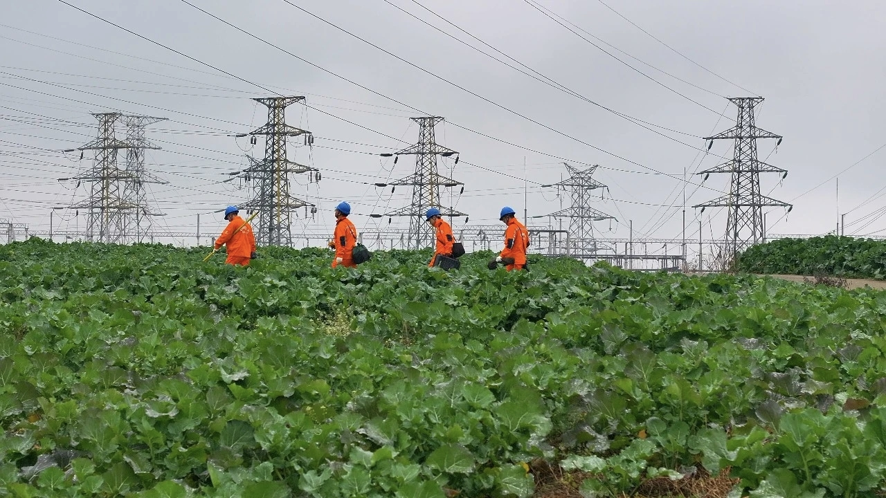 明星电力:顶风冒雨守一线 暖心保电护民生