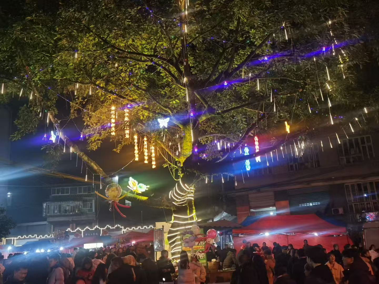 �۸�����ζ��Ũ������ʵ�¡������ȡ�