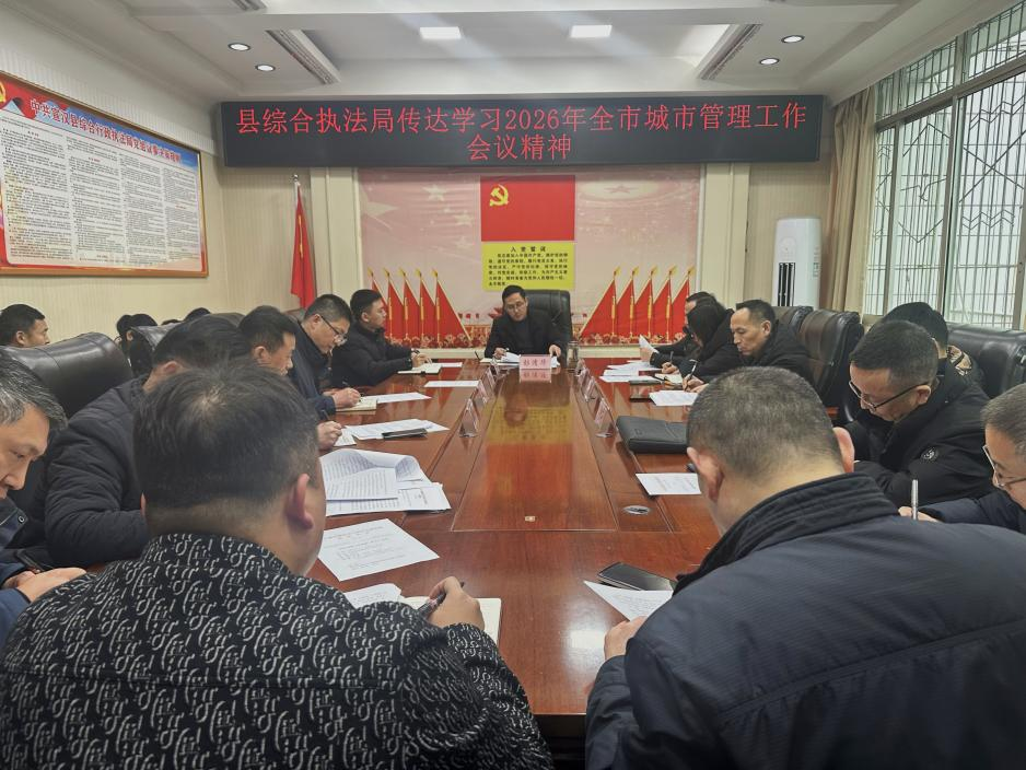 �������ۺ�ִ����ר�⴫��ѧϰ2026��ȫ�г��й����������龫��