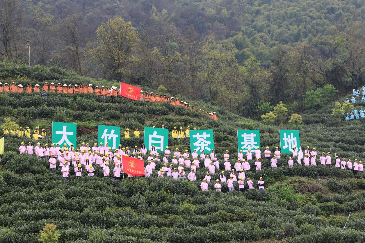 �˰�����ְ��ѧ������������ʢ�� ����ط����������ഺ����