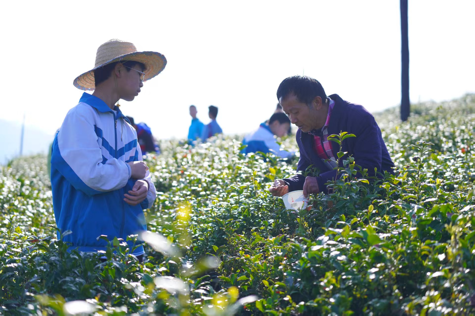 �Ƽ����ܲɲ�· ʵ��������ͯ�ġ����ݰ���Сѧ���꼶��԰�Ƽ�ʵ������