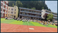����ʶ�գ���������������������Сѧ��չ����ˮר�ⰲȫ�����ߡ�һ���ӱ�������������